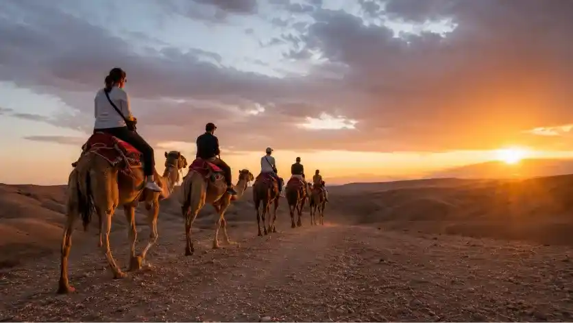 Sunset Camel Ride in Agafay Desert
