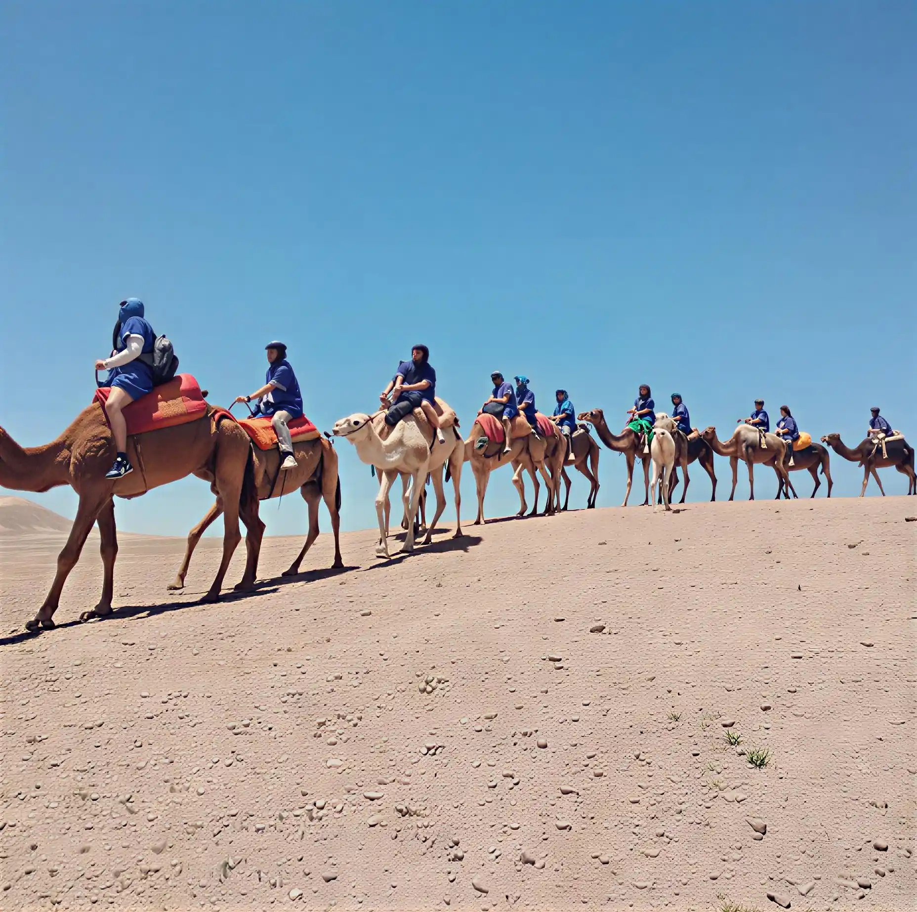 Camel trekking experience in the Agafay Desert near Marrakech with a group of travelers