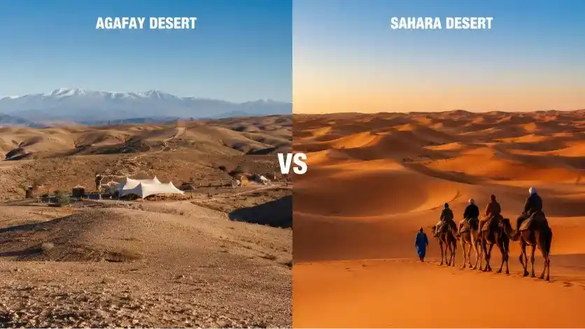 Agafay Desert vs Sahara Desert