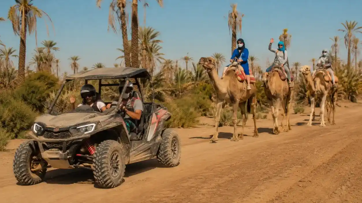 Buggy and Camel Ride Combo Marrakech