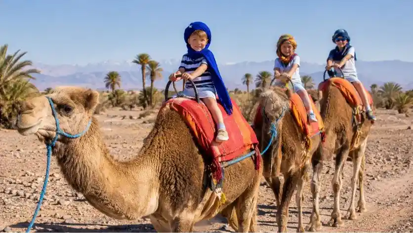 Camel Rides with Kids in Marrakech