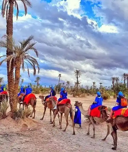 Family riding camels through the Marrakech Palmeraie with a local guide