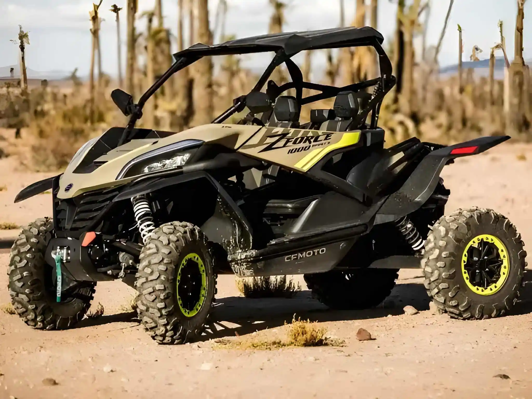 buggy in palmeraie