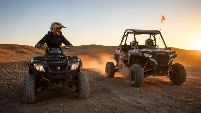 Quad Bike vs Buggy