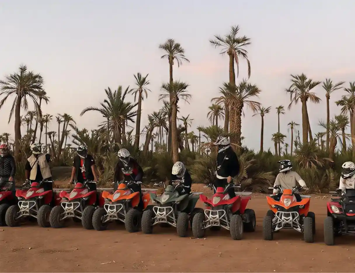 Group of quad bikes lined up in the Palmeraie of Marrakech before an off-road desert adventure