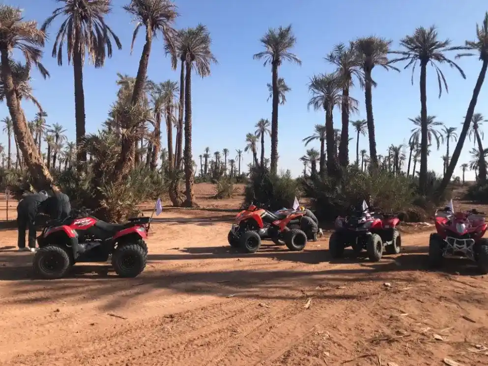 Quad bikes parked among palm trees in the Marrakech Palmeraie desert