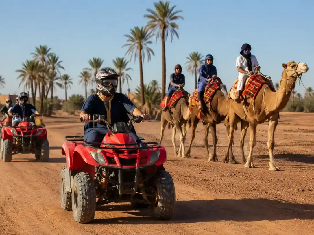 Quad Biking + Camel Ride Transfer Marrakech