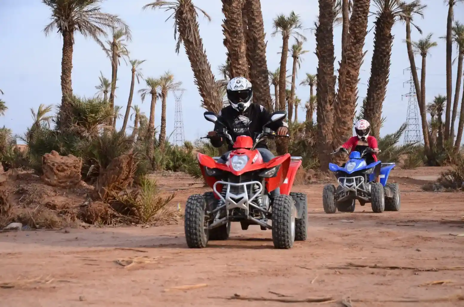 Riders driving quad bikes through palm groves in Marrakech Palmeraie