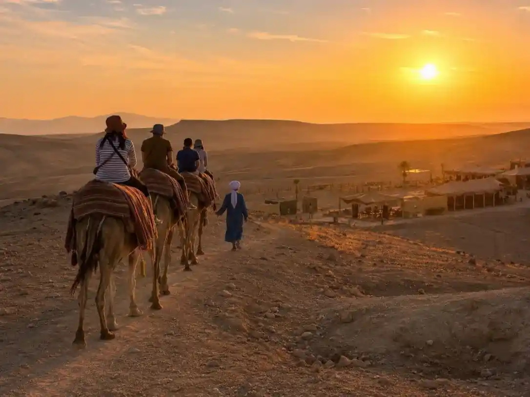 Sunset Camel Ride and Dinner Agafay Desert