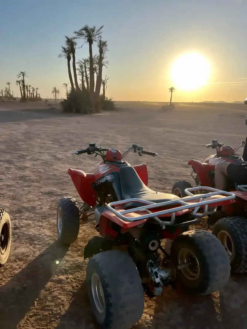 Quad bikes at sunset during a private Marrakech quad tour in the Palmeraie with hotel pickup and desert views
